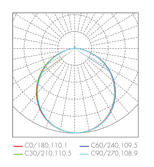 配光曲线图_6 Quanta.png