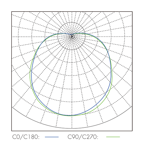 配光曲线图_11 Ceto.png